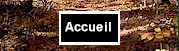 Accueil