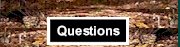 Questions