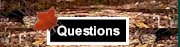 Questions