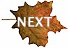 Next
